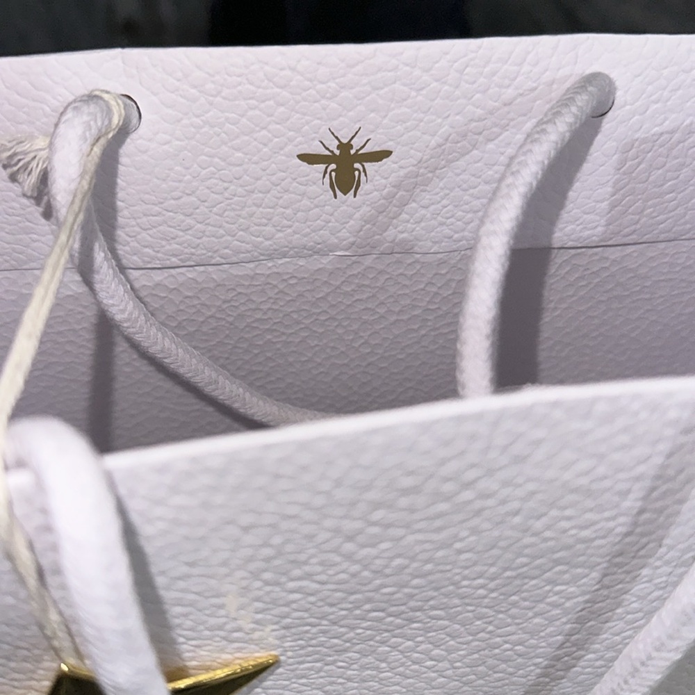 Dior Purchase Bag with Ribbon - Picture 6 of 6